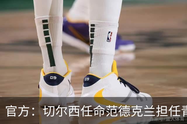 官方：切尔西任命范德克兰担任青训主管 弗朗西斯任晋升通道主管